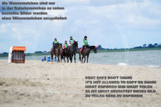 s_K3F05134.JPG